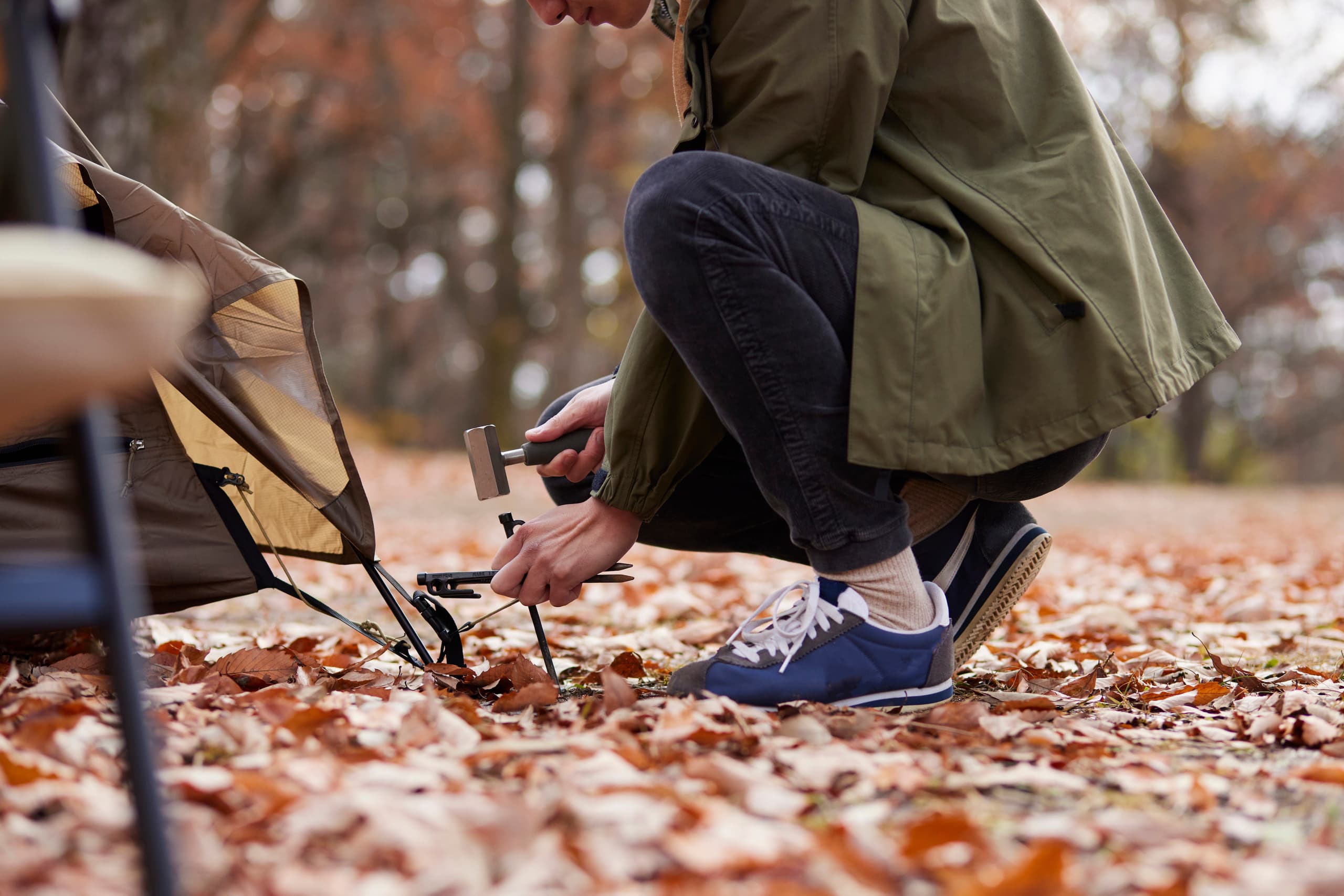 adobestock_547117442.jpg